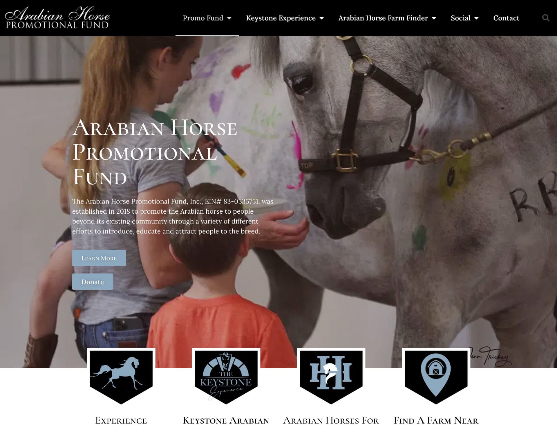 Arabian Horse Promotional Fund